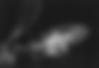 Nature morte a la bouteille de champagne (preview)