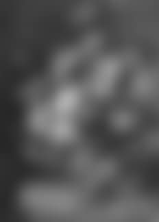 Floral still lifes (preview)