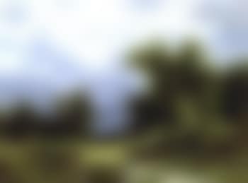 Approaching storm (preview)