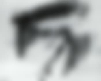 Opus G. 24 (preview)