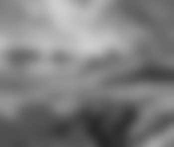 Winter nocturne (preview)