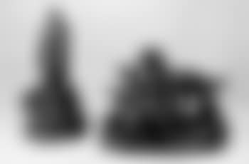Chiens et oiseaux (preview)