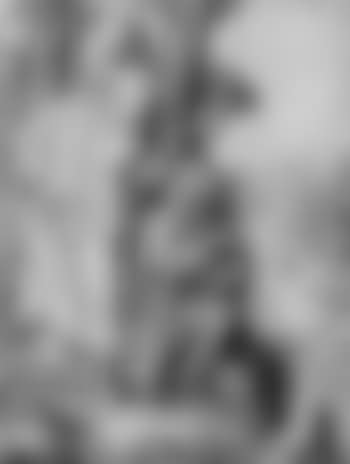 Susanna bathing (preview)