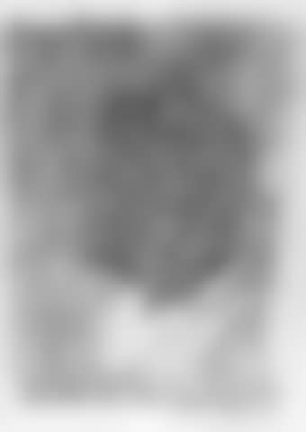Portrait of Gottfried Bermann-Fischer (preview)