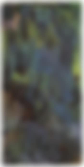 Composition (preview)