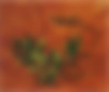 Lucertola (preview)