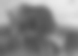 Study of cow by lake (preview)