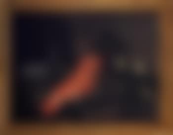 Still life with fish (preview)