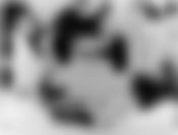 O.T. (preview)