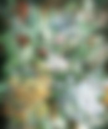 Hulaflora (preview)