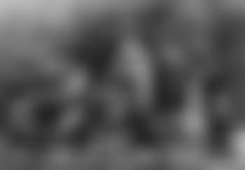 Still life (preview)