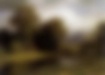 Paesaggio (preview)