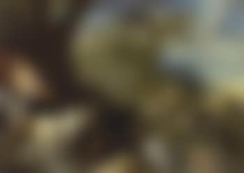 Stag hunt (preview)