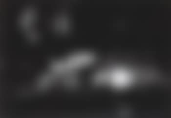 Still life of fruit and dead fowl (preview)
