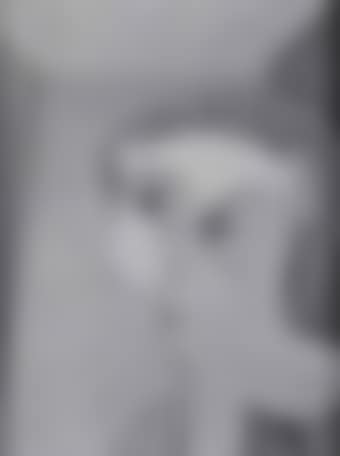 Modele (preview)