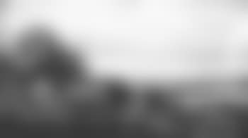 Pastoral landscape with cows grazing (preview)