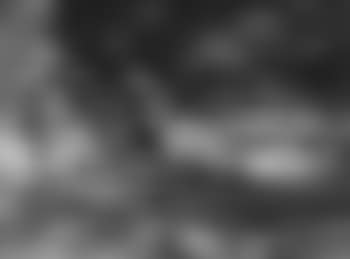 Two swimmers (preview)