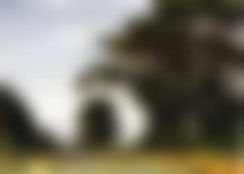 Water holes road, Canterbury (preview)