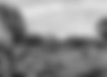 River meadows, North Canterbury (preview)
