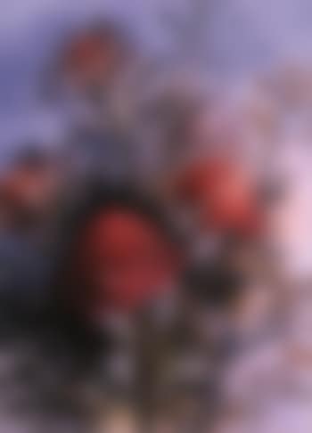 Still life with warathas (preview)