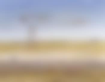 Figure in the Wimmera (preview)