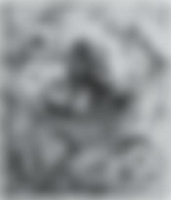 Petunias (preview)