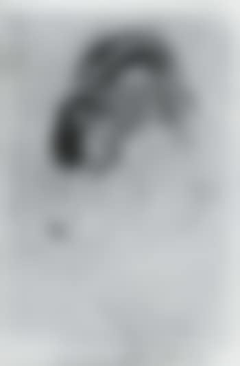 The picture book (preview)