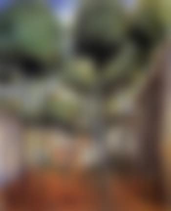 La pineta (preview)