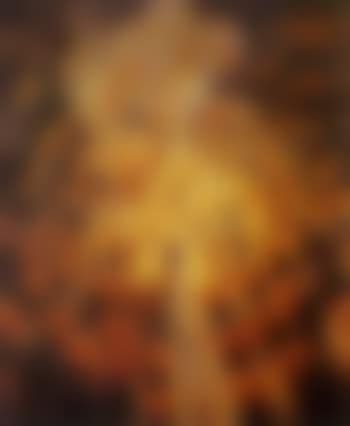 Incendio citta (preview)