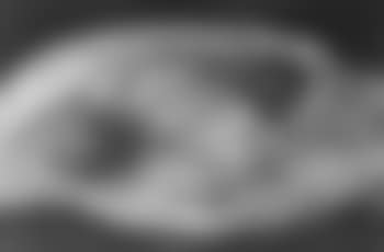Still life with oranges (preview)
