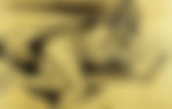 Nudo di donna che legge (preview)