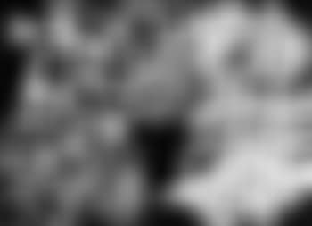Senza titolo (preview)