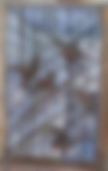 Oiseaux (preview)