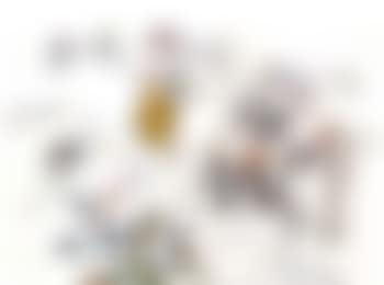 Bonne annee (preview)