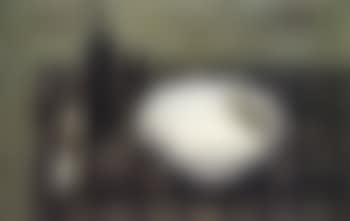 Nature morte a l'assiette (preview)