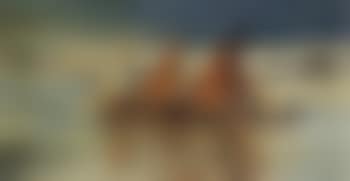 Sailing boats (preview)
