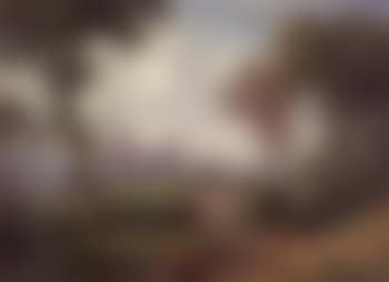 Bertischwyl near Rothenburg (preview)