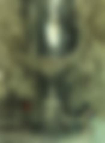 Cavalry officer of 3rd Dragoon Guards on his bay charger (preview)