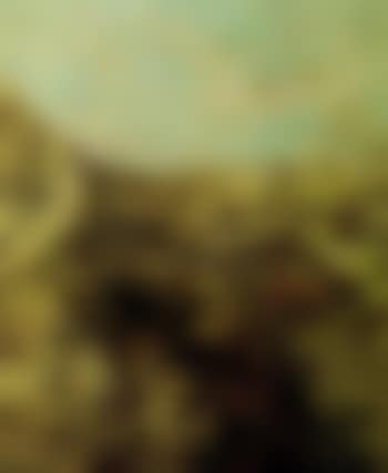 Landscape (preview)