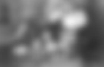 Grande composition decorative au bouquet de fleurs (preview)