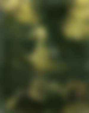 Christ at Gethsemane (preview)