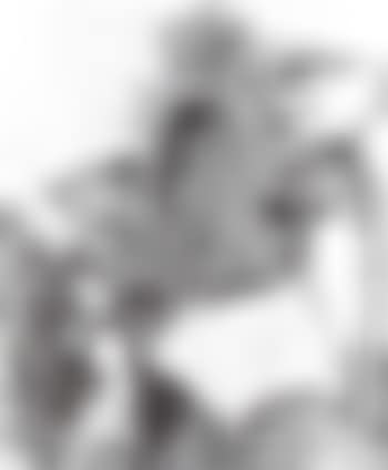 Sunflowers (preview)