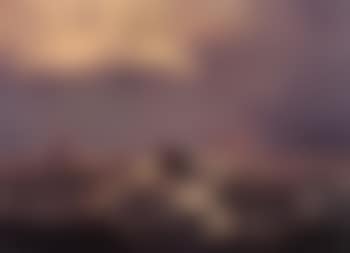 Shipwrecked (preview)