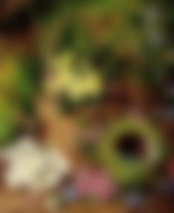 Still life of flowers and fruit on mossy banks (preview)
