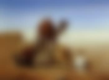 Land of the thirst (preview)
