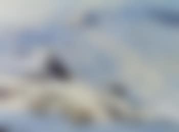 Ptarmigan on the high tops (preview)