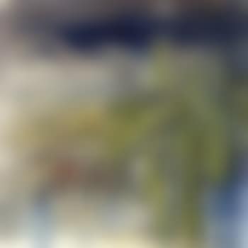 Moonlit serenade (preview)