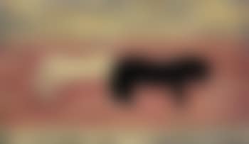 White horse, black horse. Leopard (preview)
