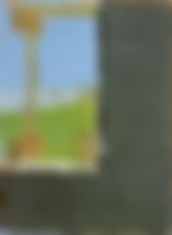 Through the window (preview)