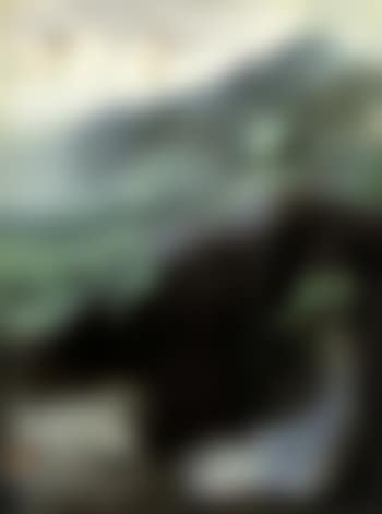 Snowy landscape (preview)